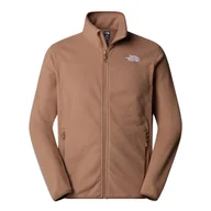 Bluzy męskie - The North Face Polar 100 Glacier Nf0A855X6Ih - miniaturka - grafika 1