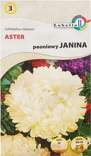 Aster peoniowy Janina 1g / L / - Nasiona i cebule - miniaturka - grafika 1