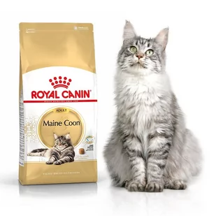 Royal Canin Maine Coon 4 kg - Sucha karma dla kotów - miniaturka - grafika 1