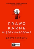 Prawo - Prawo karne międzynarodowe Lech Gardocki Teresa Gardocka Majewski Łukasz - miniaturka - grafika 1