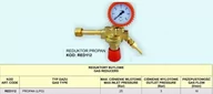 Akcesoria do elektronarzędzi - Fachowiec Reduktor propan Lpg FACHOWIEC, 25 bar - miniaturka - grafika 1