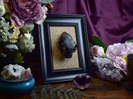 Dekoracje domu - Gotycka ozdoba na ścianę - czaszka kota w czarnej ramce #1 - miniaturka - grafika 1