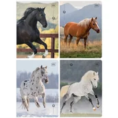 Zeszyty szkolne - 4X ZESZYT A5, 32 KARTKI, W TRZY LINIE, KONIE / HORSES, INTERDRUK - miniaturka - grafika 1