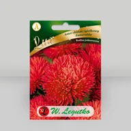 Nasiona i cebule - Aster chiński igiełkowy Esmeralda Czerwony 0,5g - Nasiona - W. Legutko - miniaturka - grafika 1