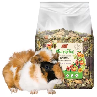 Vitapol karma świnka morska Vita Herbal 400g - Karma dla gryzoni - miniaturka - grafika 1