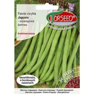 Nasiona i cebule - TORSEED nasiona FASOLA SZPARAGOWA ŚREDNIO WCZESNA ZIELONA JAGUSIA 30 G - miniaturka - grafika 1