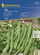 Nasiona i cebule - Kiepenkerl Fasola tyczna Eva 102037 - miniaturka - grafika 1
