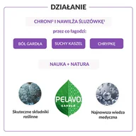 Przeziębienie i grypa - USP ZDROWIE SP. Z O.O USP ZDROWIE SP Z O.O Pelavo 1+ Gardło Spray 2 x 30 ml - miniaturka - grafika 1