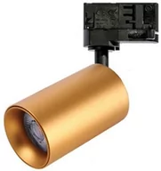 Lampy pozostałe - Lampa sufitowa do systemu szynowego Eiger AZ5238 3-faz złota - miniaturka - grafika 1