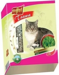 Vitapol Trawka dla kota 100g z pojemnikiem - Suplementy i witaminy dla kotów - miniaturka - grafika 1