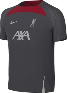 Nike Unisex dziecięca koszulka LFC Y Nk Df Strk Ss Top K, antracyt/antracyt/szary wilk, FD7088-063, S - Koszulki i topy damskie - miniaturka - grafika 1