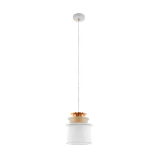 Eglo 96873 Scazon 96873 - Lampy sufitowe - miniaturka - grafika 1
