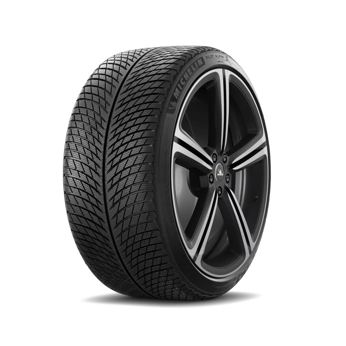 Michelin Pilot Alpin 5 285/30R22 101W