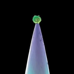 Universal Music Group New Blood CD) Peter Gabriel - Rock - miniaturka - grafika 2