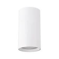 Lampy sufitowe - Ideus Sufitowa LAMPA downlight DARIA DWL 03944 okrągła OPRAWA metalowy plafon tuba biała 03944 - miniaturka - grafika 1