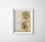 Plakaty - Plakat w stylu retro Da Vinci Vintage - miniaturka - grafika 1