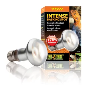 EXO TERRA INTENSE BASKING SPOT żarówka 75W - Akcesoria do terrarium - miniaturka - grafika 1