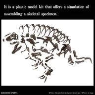 Figurki dla dzieci - Bandai Model Kit Hobby - Imaginary Skeleton - 1/32 Imaginary Skeleton Tyrannosaurus 2569327 - miniaturka - grafika 1