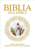 Religia i religioznawstwo - Biblia Dla Dzieci Dzieje Objawienia Starego I Nowego Testamentu - miniaturka - grafika 1