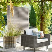 Parawany - Ścianka działowa Derby - miniaturka - grafika 1