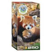 Puzzle - Eurographics Puzzle 250 Czerwone pandy 8251-5557 - miniaturka - grafika 1