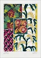 Plakaty - Vintage flower patterns, elegant Art Nouveau, E. A. Séguy -  plakat Wymiar do wyboru: 61x91,5 cm - miniaturka - grafika 1