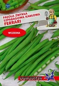 Nasiona i cebule - Fasola szpar karł. ziel. Ferrari 40g / O / - miniaturka - grafika 1