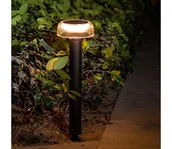 Lampy ogrodowe - Zuma Line PT33111 - LED Lampa solarna BLUET LED/2,5W/2000 mAh IP44 czarny - miniaturka - grafika 1