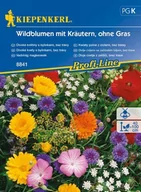 Nasiona i cebule - Kiepenkerl Kwiaty Polne z Ziołami Łąka Kwietna Kiepenkerl 102330 - miniaturka - grafika 1