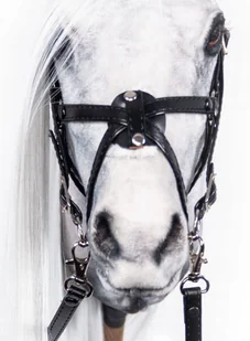 Ogłowie meksykańskie REALISTIC - hobby horse REALISTYCZNEGO - Maskotki i pluszaki Ogłowie meksykańskie REALISTIC - hobby horse REALISTYCZNEGO - Maskotki i pluszaki - miniaturka - grafika 1