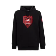 Bluzy męskie - PUMA Bluza z kapturem Ftblicons męska bluza z kapturem - miniaturka - grafika 1