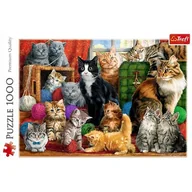 Puzzle - Trefl Puzzle 1000 Kocie spotkanie - miniaturka - grafika 1