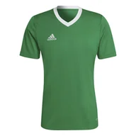 Koszulki sportowe męskie - Męska Koszulka z krótkim rękawem ADIDAS ENT22 JSY HI2123 – Zielony - miniaturka - grafika 1