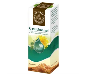 GASTROBONISOL płyn doustny 100ml BONIMED - Zioła - miniaturka - grafika 1