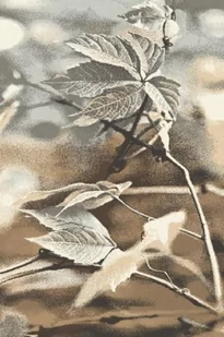 Dywan Agnella Natural-10 Ramo Beż - Dywany - miniaturka - grafika 1