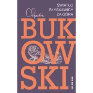 Powieści - NOIR SUR BLANC Światło błyskawicy za górą - miniaturka - grafika 1