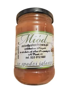 Miód ze spadzi iglastej 400g Miody z Łochowa - Miód - miniaturka - grafika 1