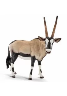 Antylopa oryx - Albumy krajoznawcze - miniaturka - grafika 1