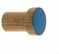 Wieszaki i stojaki - Wieszak ścienny Simple Drewniany Emaliowany Chłodny Niebieski - Olej Bezbarwny Półmat - miniaturka - grafika 1