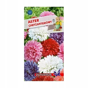 Aster chryzantemowy mieszanka 1g / O / - Nasiona i cebule - miniaturka - grafika 1