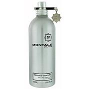 Wody i perfumy męskie - Montale Paris Embruns dEssaouira woda perfumowana 100 ml - miniaturka - grafika 1