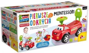Lisciani Giochi Montessori Moje pierwsze odkrycia 76567 LISCIANI - Mały naukowiec - miniaturka - grafika 3