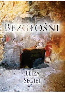 Bezgłośni Eliza Segiet - Pamiętniki, dzienniki, listy - miniaturka - grafika 4