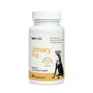 Suplementy i witaminy dla psów - LAB-V Urinary Dog – Wsparcie przy zakażeniu dróg moczowych u psów 45 kapsułek - miniaturka - grafika 1