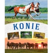 Albumy - przyroda - Konie Małgorzata Mąkosa - miniaturka - grafika 1