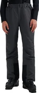 Spodnie narciarskie - 4f Spodnie narciarskie męskie FNK M1155 antracyt 4FWAW25TFTRM1155 22S L - miniaturka - grafika 1