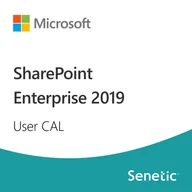 Programy biurowe - SharePoint Enterprise 2019 User CAL - miniaturka - grafika 1