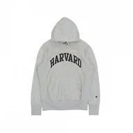 Bluzy sportowe męskie - Bluza sportowa męska Champion Harvard - miniaturka - grafika 1