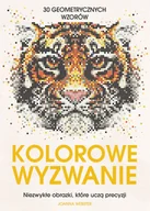 Książki edukacyjne - Kolorowe wyzwanie. Niezwykłe obrazki, które uczą precyzji - Joanna Webster - książka - miniaturka - grafika 1