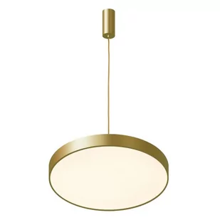 Italux Orbital 5361-830RP-GD-3 5361-830RP-GD-3 - Lampy sufitowe - miniaturka - grafika 1